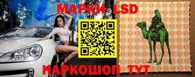apvp Ирбит